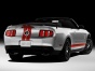Ford Shelby фото